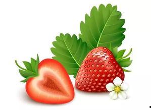 草莓视频污,揭秘网络短视频的暗流涌动