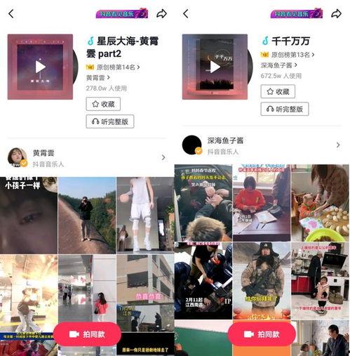 乐营视频,音乐的魅力与青春的旋律