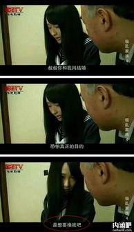 极乱家族视频免费,揭秘疯狂家族的疯狂日常