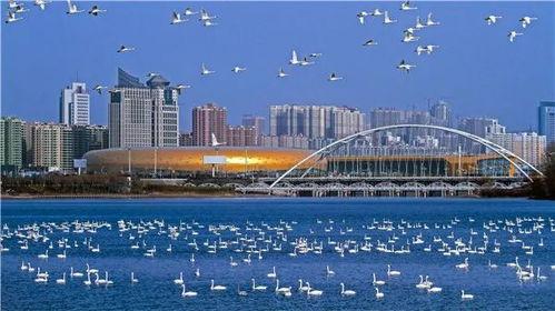 三门峡视频,探寻黄河之畔的历史与现代交融