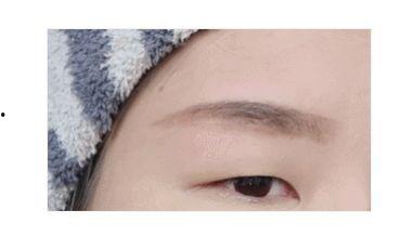 小画眉视频,捕捉自然之美，探寻生命奥秘