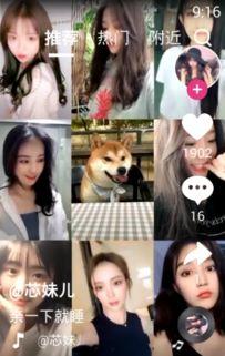 红域小视频,揭秘网络红人的魅力与影响力