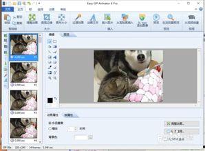 小视频转gif,小视频变GIF,轻松玩转动态瞬间