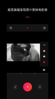 vue朋友圈视频,捕捉生活瞬间,展现个性风采