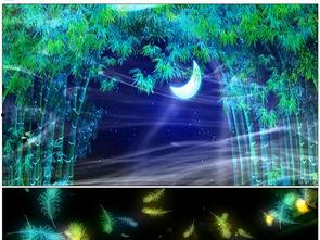 傣族舞蹈视频大全群舞