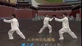 太极48式教学视频,轻松入门,领略中华武术魅力